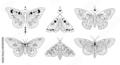 Collection of mystical black and white moth and butterfly line art illustrations with celestial symbols.