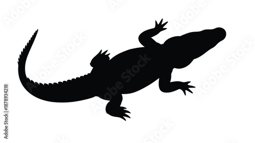 A striking black alligator form viewed from above creating a bold silhouette
