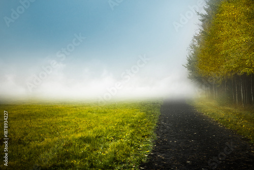 Weg durch das Schwarze Moor in der Rhön, Bayern, Deutschland