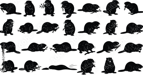 Black silhouette set of beavers in various poses, funny wild forest animals chewing branches, beaver mascot icons vector illustration isolated on white background.