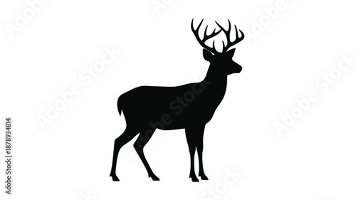 Majestic stag with large antlers stands in a striking black silhouette