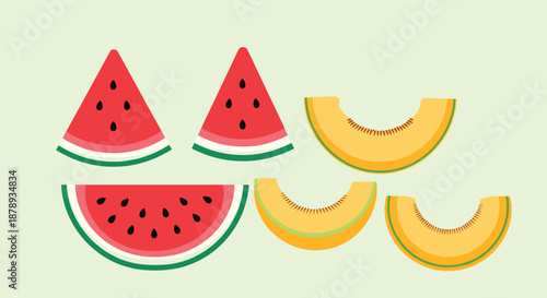 Simple and clean illustrations of fresh watermelon wedges and cantaloupe melon slices in bright colors against a pale green background.