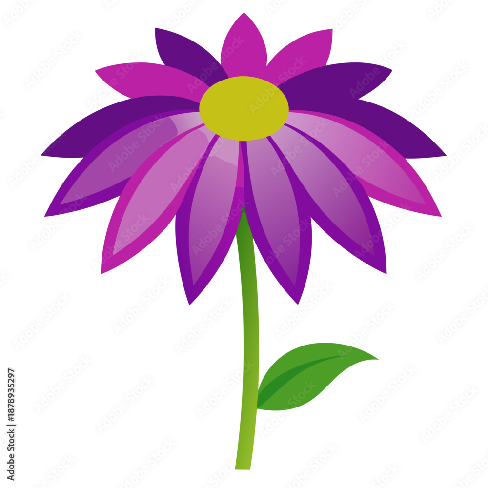 Fototapeta premium coneflower purple vector colorful on white background 