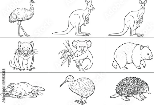 Collection of hand-drawn Australian animal illustrations featuring iconic wildlife species for educational projects, coloring pages, and nature designs