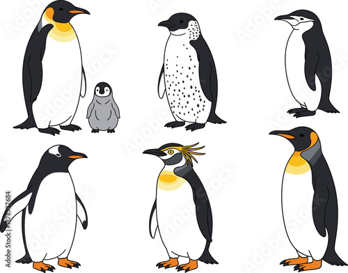 Cute illustrated penguin collection featuring multiple species and poses for wildlife education, children’s designs, and nature-themed projects