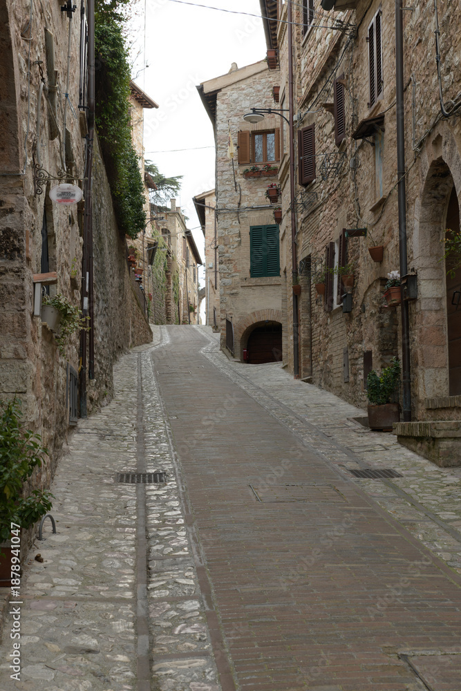 Naklejka premium Charming narrow alleyway in the historic center of Spello, Umbria, Italy, lined with stone buildings, potted plants, and flowering balconies.