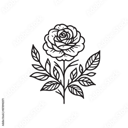 Beautiful rose flower minimal monochrome line drawing simple delicate botanical nature illustration graphic
