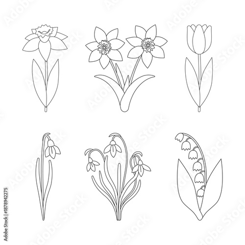 Spring flowers set isolated on a white background. Outline drawing. Linear icon, vector illustration, coloring page. Early spring flower, Easter theme.