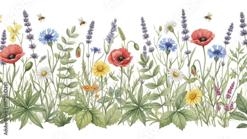 Watercolor floral seamless pattern with colorful wildflowers, leaves, plants and flying ies. Panoramic horizontal isolated illustration. Garden background in vintage style.