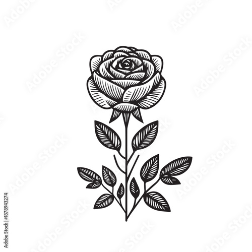 Engraved style rose with stem and detailed leaves for vintage decoration