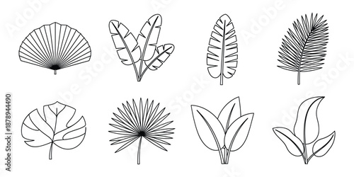 Elegant tea plant leaves vector illustration natural organic healthy drink ingredient symbol