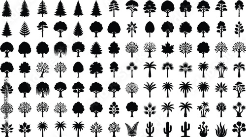 Black tree silhouette icon set featuring forest tropical deciduous pine palm cactus and plant shapes isolated on white background