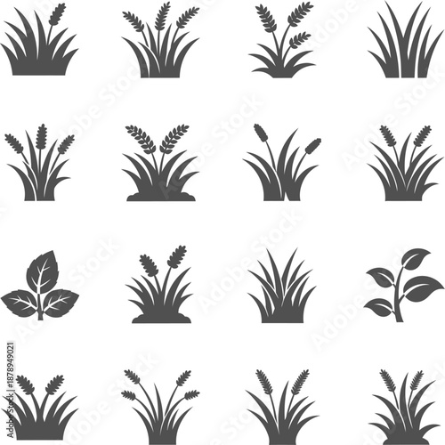 Set of black silhouettes of various wild plants and meadow grasses for nature landscape branding and garden design or botanical outdoor exploration and environment protection projects