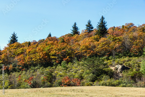 Autumn Forest and Valley Landscape with Blue Ridge Mountains