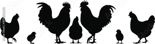 Silhouettes of roosters, hens, and chicks in black and white, farm animal vector art for agriculture and poultry themes