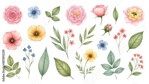 Watercolor flower and leaves element collection