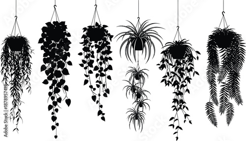 Floral hanging plants in tub arrangement ideas