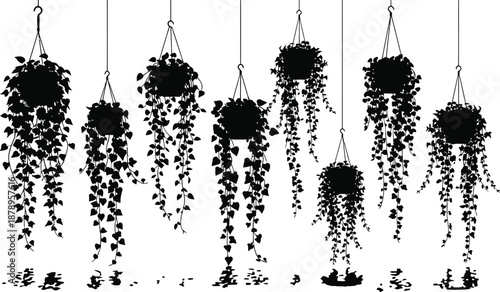 Floral hanging tub garden with multiple hanging plants and flowers