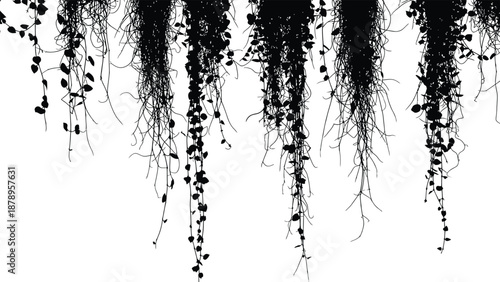 Floral tub design elements black and white abstract patterns