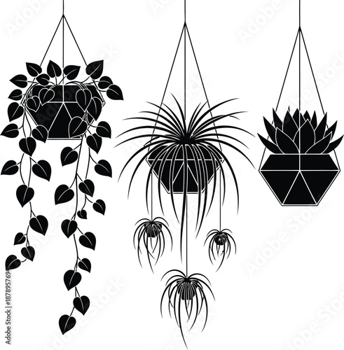 Hanging floral plants in tub for indoor gardening and decoration