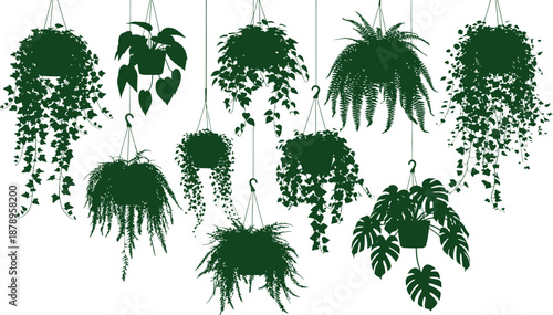 Floral hanging plants in tub arrangement