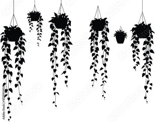 Floral hanging plants in tub arrangement