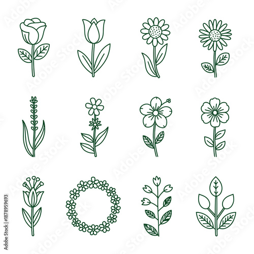 Natural Botanical Garden and Decorative Floral Plant Elements