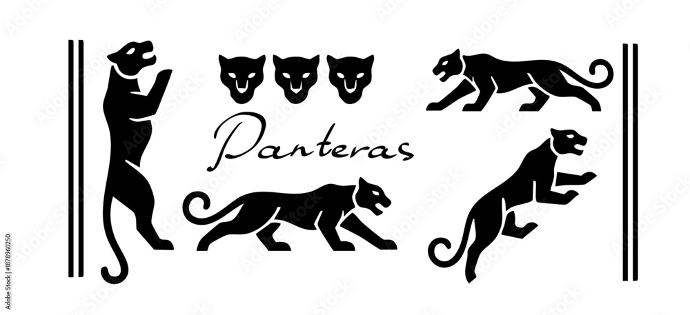 Fototapeta premium Snow leopard panther lion predator similar to QR code, barcode
