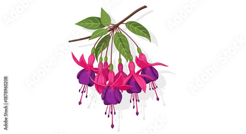 Elegant White Flowering Plant Botanical Illustration with Green Leaves