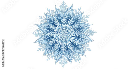 Elegant Yarrow Plant Botanical Illustration