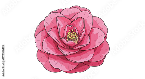 Delicate pink flower with buds and green leaves, isolated on white background.