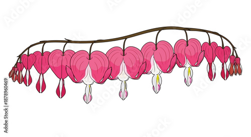 A vibrant yellow plumeria flower isolated on white.