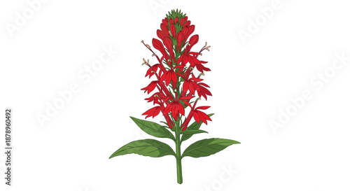 A vibrant purple and yellow pansy flower on a white background.