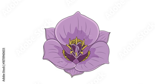 Beautiful blue snowflake ornament with intricate details on a white background.