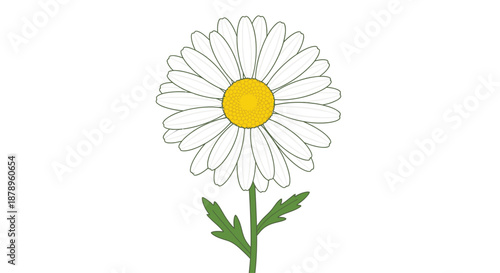 Wallpaper Mural A delicate pink lily flower illustration Torontodigital.ca