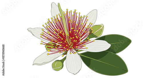 Purple thistle flower with green leaves and thorny stem on white background.