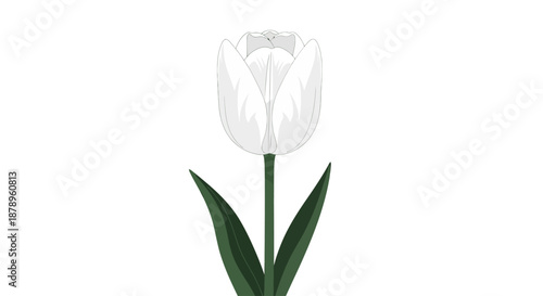 Illustration of a single purple lupine flower with green leaves.