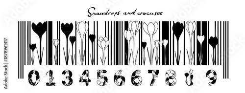 Flowers snowdrops heather similar to QR code, barcode