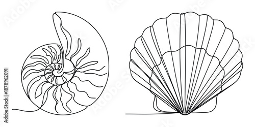Continuous line drawing art of nautilus and scallop sea shells vector illustration set simple icon design