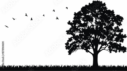 Serene landscape with tree silhouette and birds in flight outdoors