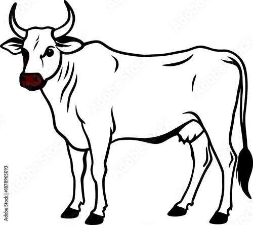 Create a realistic image of a fully grown Red Brahman bull standing sideways. The bull should have a muscular build, a distinct hump over the shoulders, large hanging ears, loose skin, and a sleek red