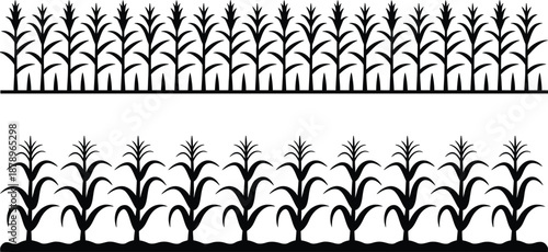 Black silhouettes of corn plants on white background for design and decoration purposes