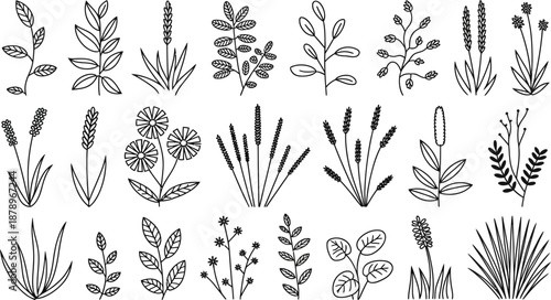 Set of various plants and flowers in minimalist line art style for design use