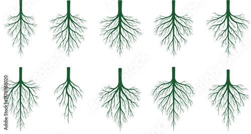 Green Tree Root System Icon Set with Underground Plant Roots for Biology, Ecology, Nature, and Educational Designs