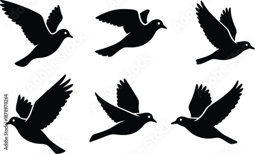 Five black silhouettes of pigeons flying in different directions for urban nature branding and bird watching or peace symbols and city wildlife and avian movement exploration graphics