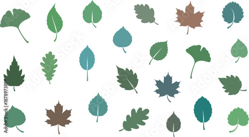 Collection of diverse leaves in various shades of green and brown