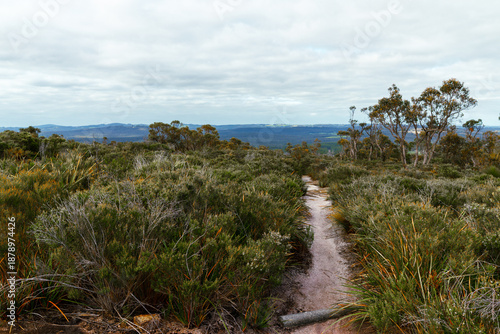 Photography Narrow bushland trail with distant rolling hills