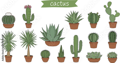 Cactus and Succulent Plant Collection Set Featuring Various Desert Flora in Pots Including Aloe Vera Saguaro and Prickly Pear Houseplant Illustrations for Interior Decor