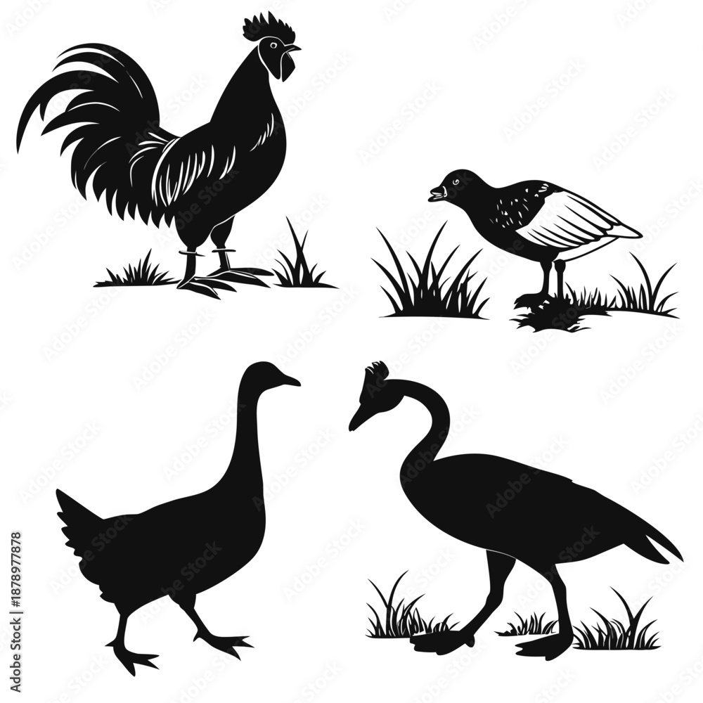 Fototapeta premium Silhouettes of various birds