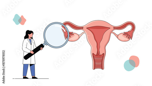 Healthcare professional examines a large illustration of the female reproductive system using a magnifying glass for gynecology and fertility studies.